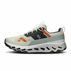 On Running CloudHorizon "Aloe"