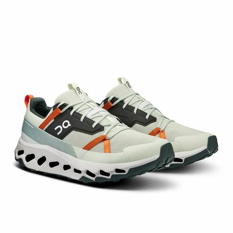 On Running CloudHorizon "Aloe"